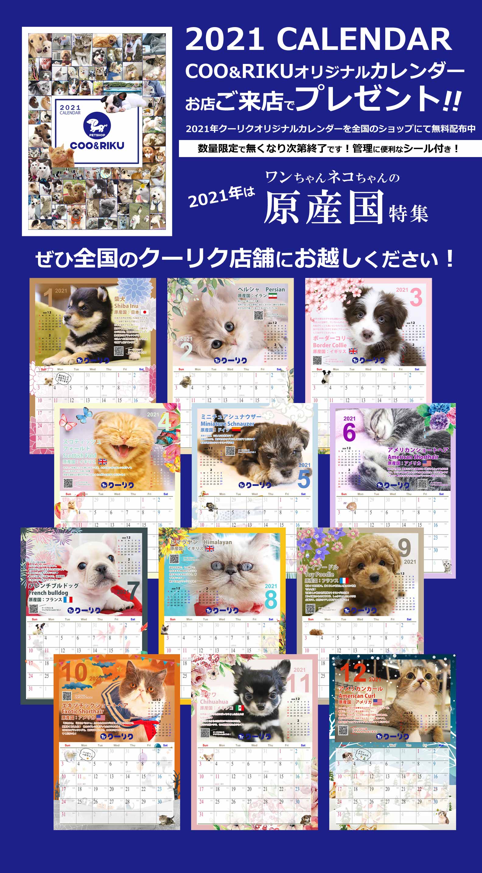 21年クーリクカレンダー全国の店舗にて無料配布中 ペットショップcoo Riku