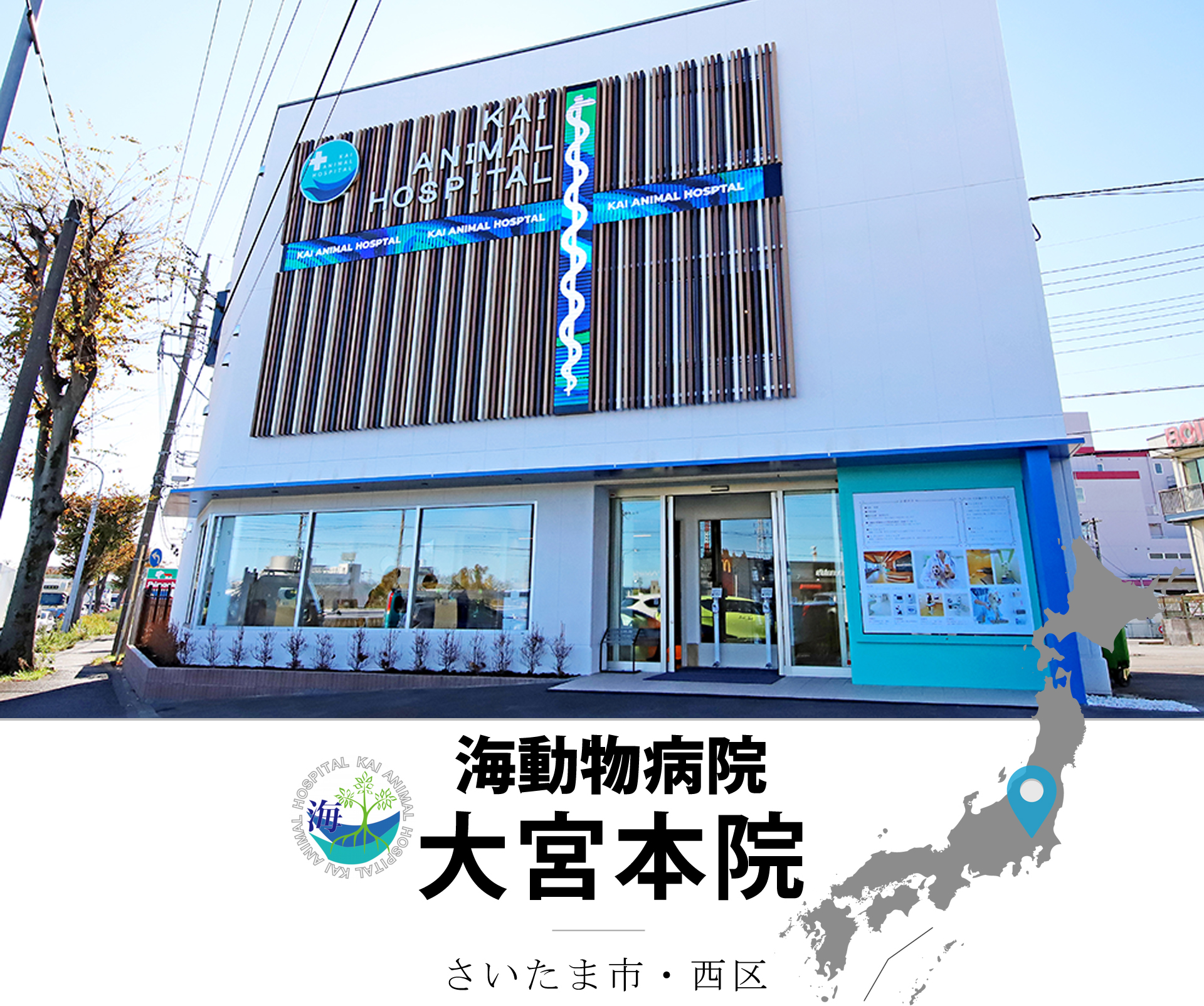 11月30日 月 海動物病院 大宮本院grand Open ペットショップcoo Riku