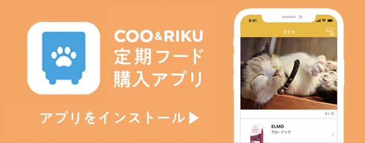 保護・譲渡の犬猫 里親募集  ペットショップCoo＆RIKU