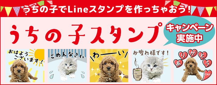 「うちの子スタンプ」愛犬・愛猫がLINEスタンプに！