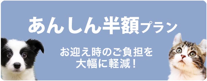 あんしん半額プラン