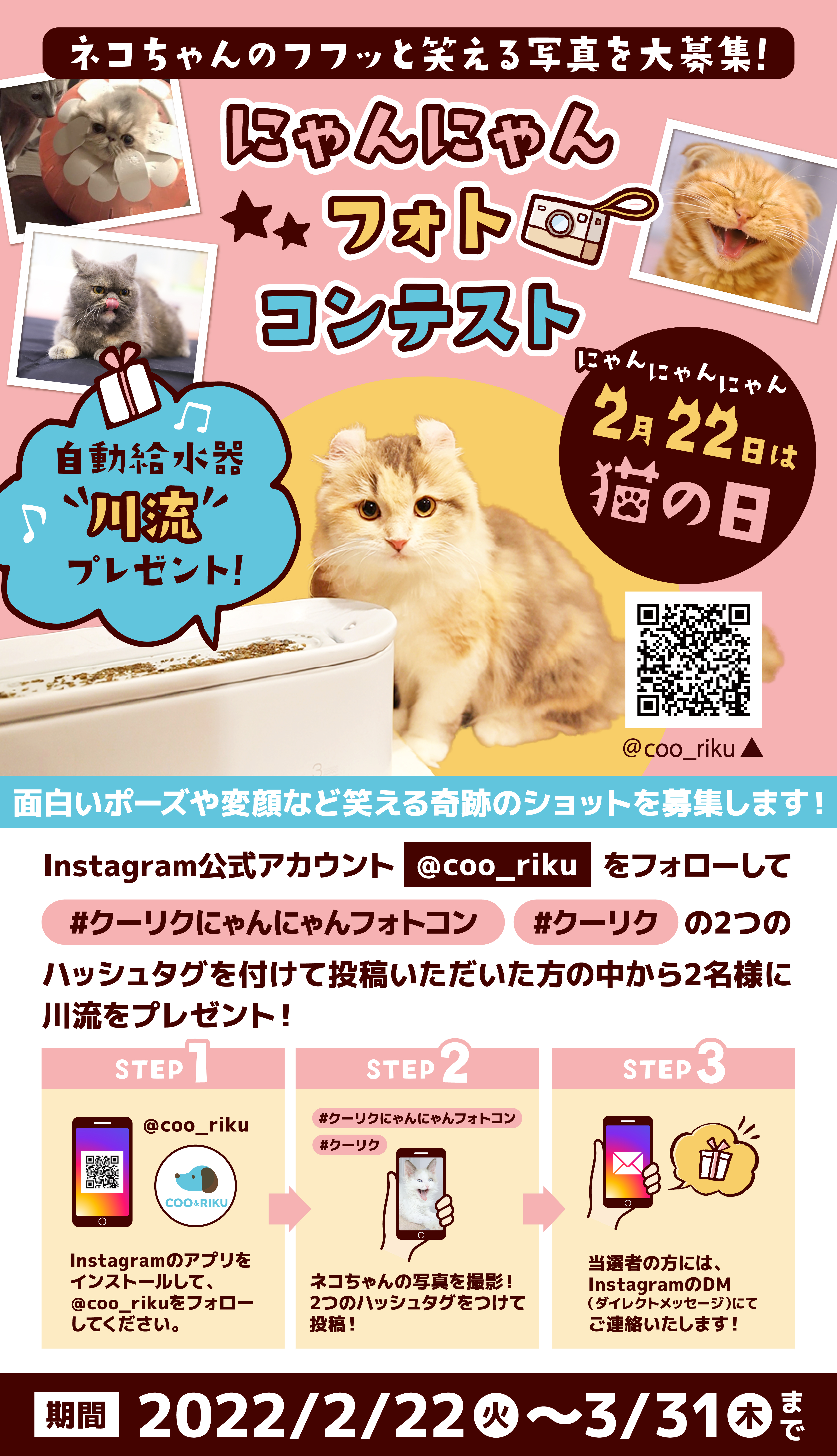 22年2月22日はスーパー猫の日 にゃんにゃんフォトコンテスト 開催 ペットショップcoo Riku 22年2月22日はスーパー猫の日 にゃんにゃんフォトコンテスト 開催 ペットショップcoo Riku