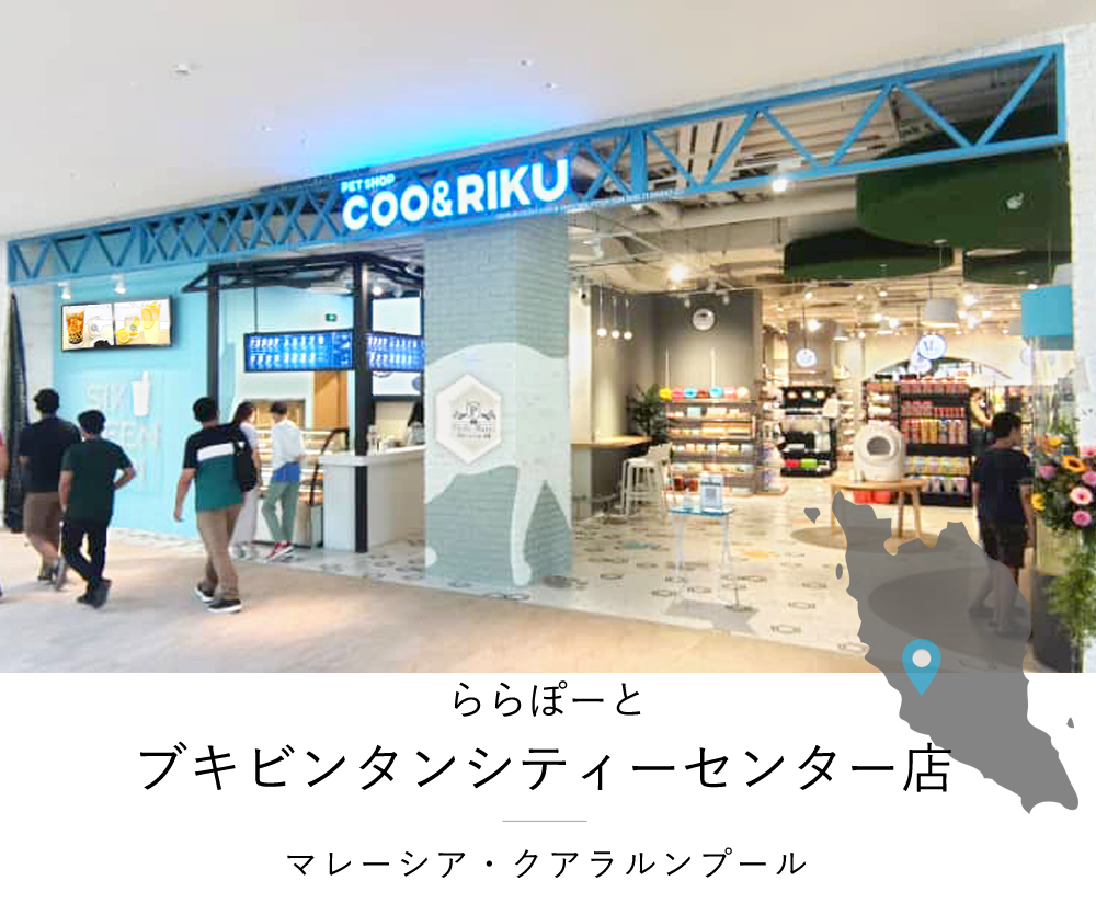 22年2月日 オープン マレーシア ららぽーと ブキビンタンシティーセンター店 ペットショップcoo Riku