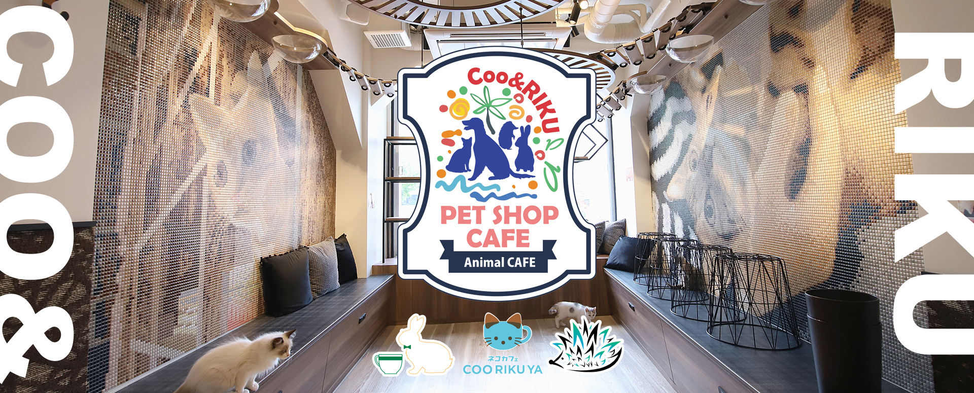 クーリクのアニマルカフェへようこそ ペットショップcoo Riku