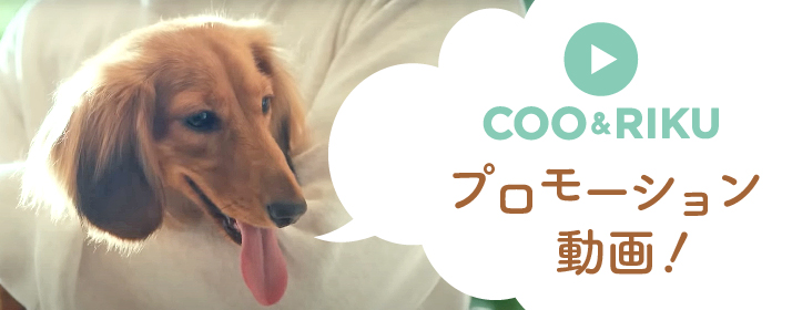 クーアンドリクの動画