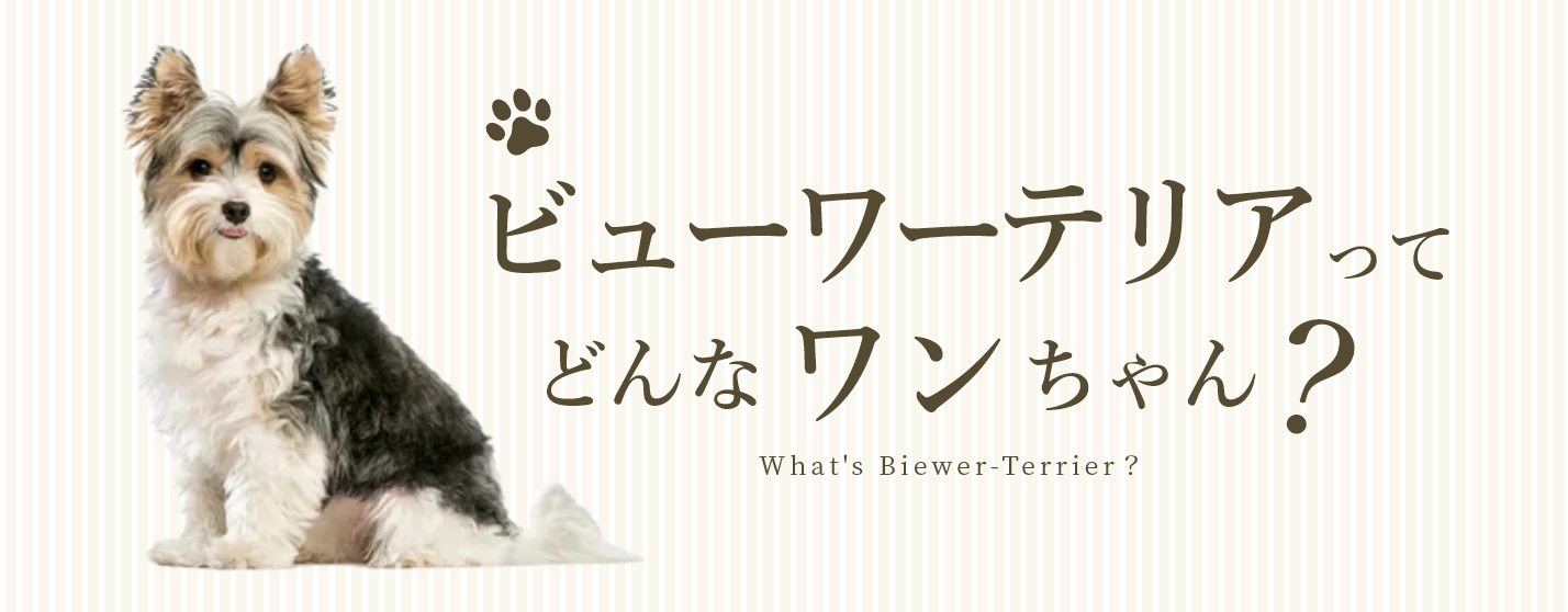 ビューワーテリア