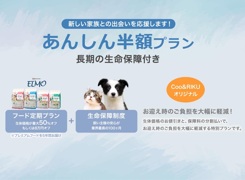 ペットショップ「Coo＆RIKU」｜全国に200店舗以上