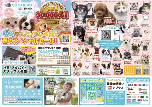 チラシ1