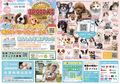 チラシ1