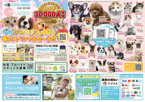 チラシ1