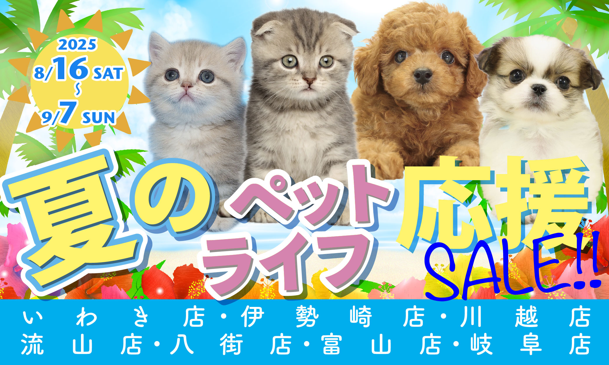 プレミアム40&夏のペットライフ応援セール