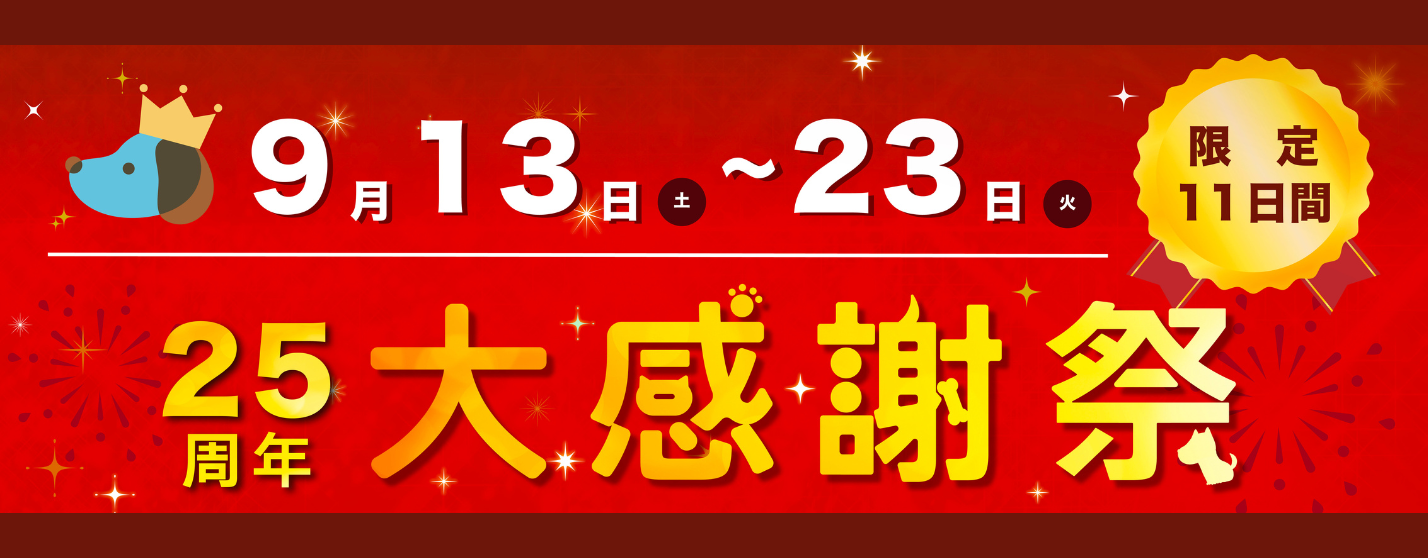セール情報