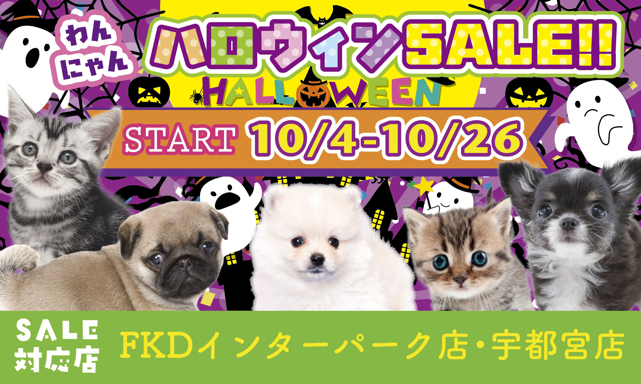 プレミアム40&わんにゃんハロウィンセール