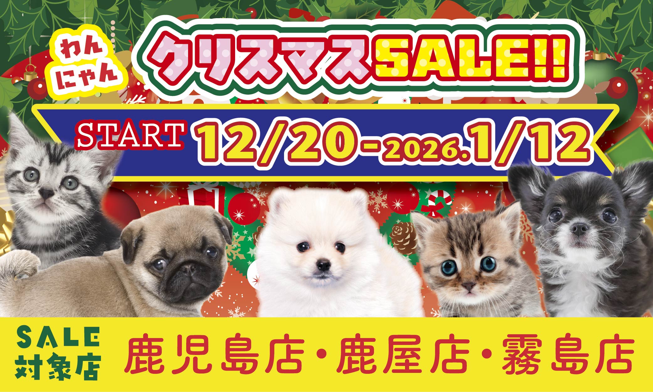 鹿児島県内合同わんにゃんクリスマスSALE