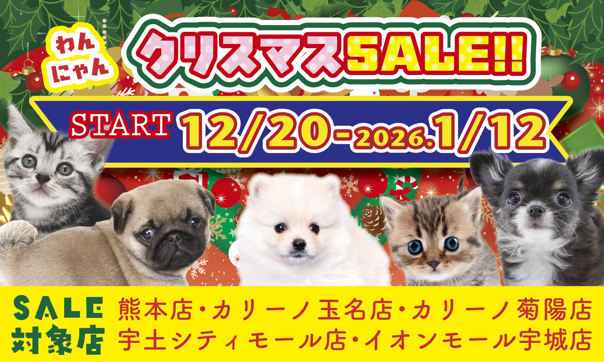 わんにゃんクリスマスSALE