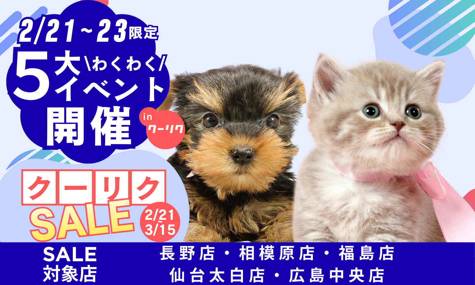 ペットショップCoo＆RIKU | 【2/21(土)・2/22(日)・2/23(月)限定 
