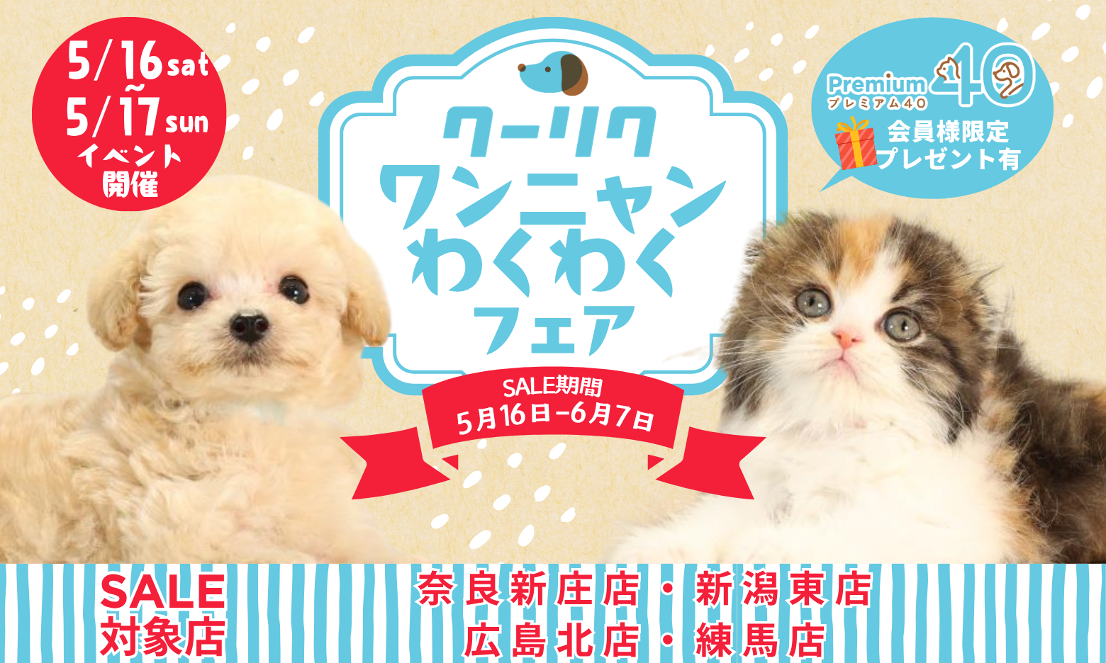 セールメインビジュアル