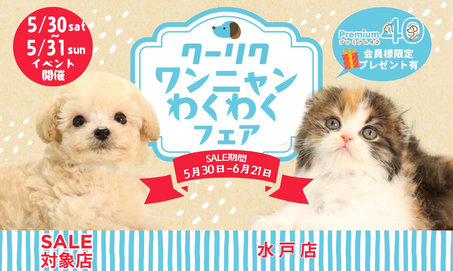 セールメインビジュアル