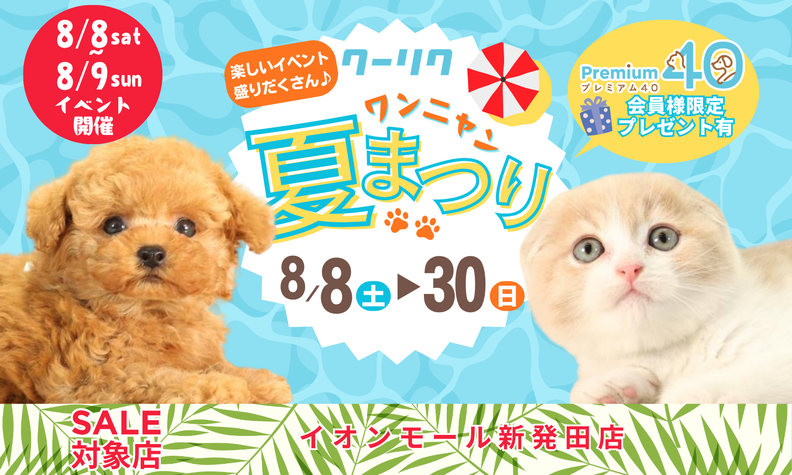 セールメインビジュアル
