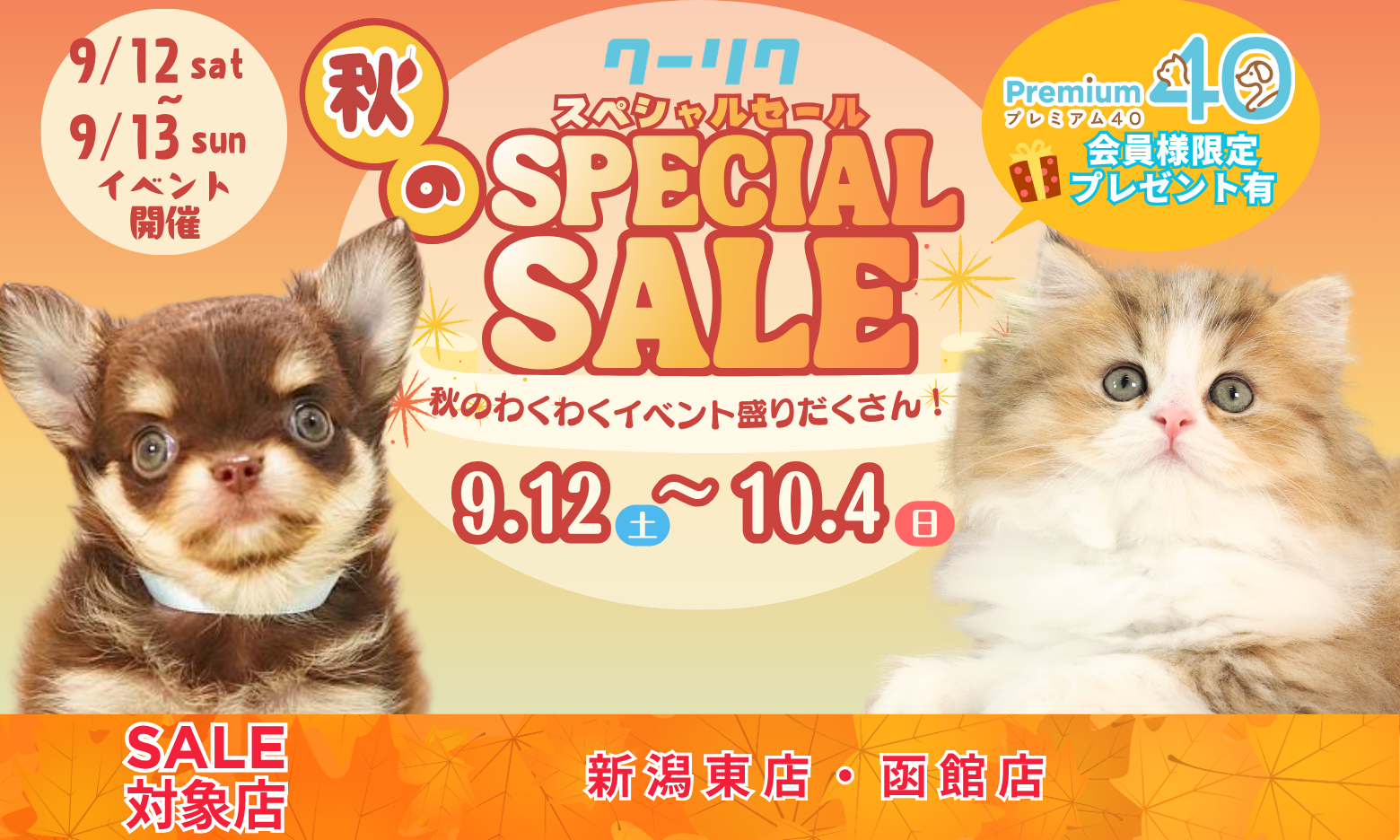 セールメインビジュアル