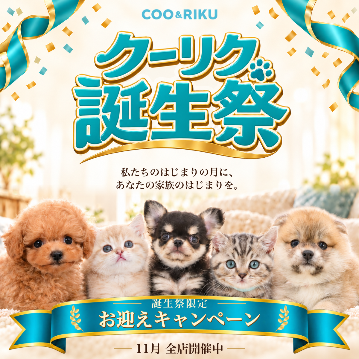 クーリク誕生祭 私たちのはじまりの月に、あなたの家族のはじまりを。誕生祭限定 お迎えキャンペーン 11月全店開催中